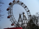 Wien_31
