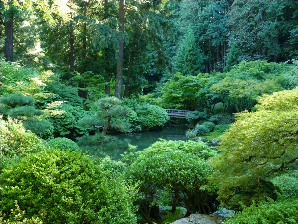 Japan_Garden1