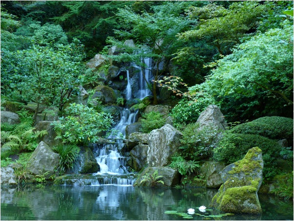 Japan_Garden2