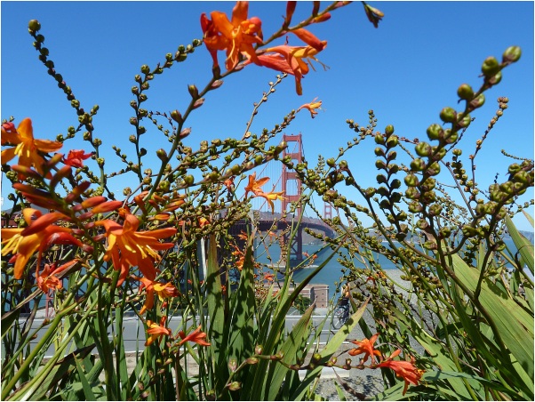 Golden_Gate_Bridge_2