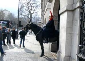 Horse Guard London