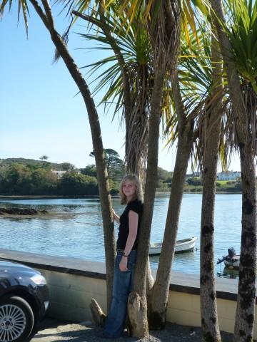 Ring of Beara Palmen in Castletownbere