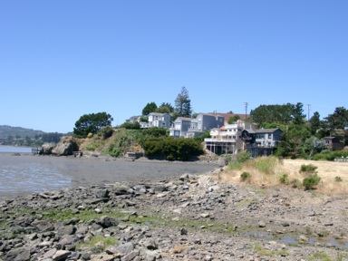 Bay in Sausalito