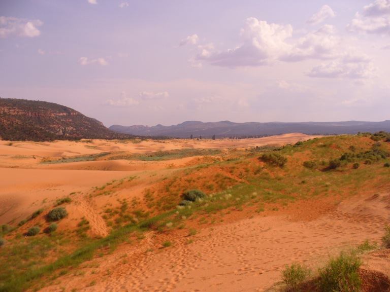 Pink Sand Dunes