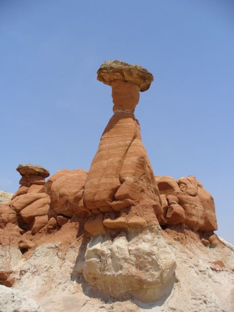 Toadstool Hoodoo