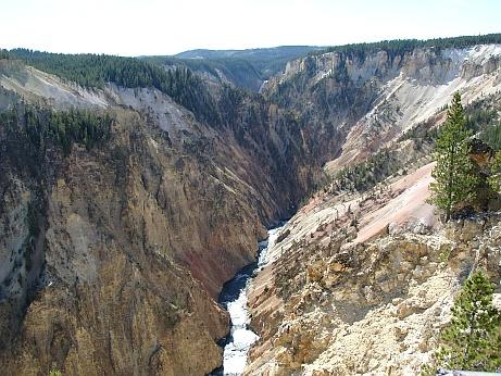 Canoyn Yellowstone