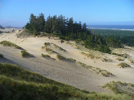 Oregon Dunes