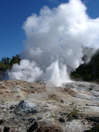 Steamboat Geyser im Yellowdtone NP