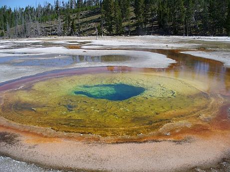 Yellowstone NP Pool