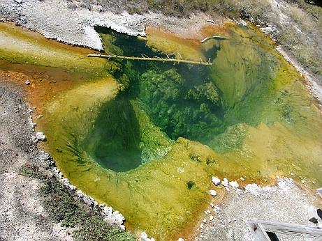 Yellowstone NP Pool