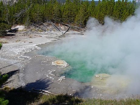 Yellowstone NP Pools