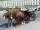 Kutsche Wien Hofburg