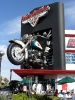 Harley Davidson Cafe in Vegas