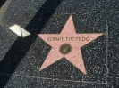 Walk of Fame Kermit the Frog