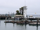 Forbes Island San Francisco