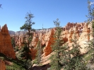 Bryce Canyon NP