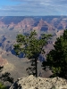 Grand Canyon NP_14