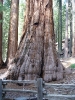 Yosemite NP