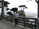 Highway 1_7