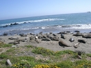 Highway 1_4