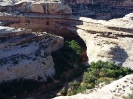 Natural Bridges_5