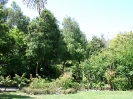 San Diego Zoo_5