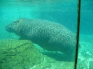 San Diego Zoo_23