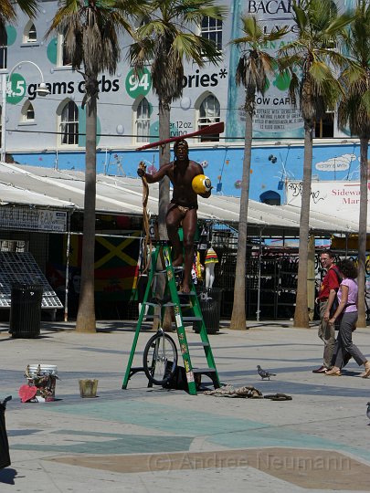 Künstler in Vennice Beach