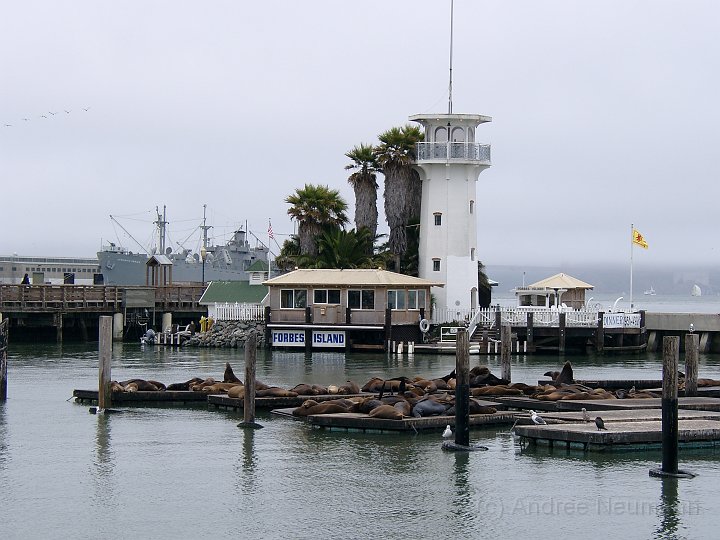 Forbes Island San Francisco