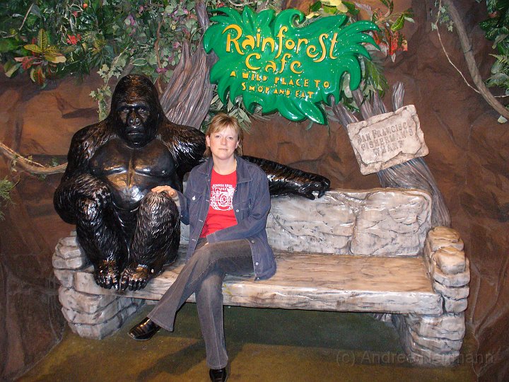 San Francisco Rainforest Cafe