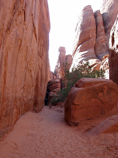 Arches NP-_1
