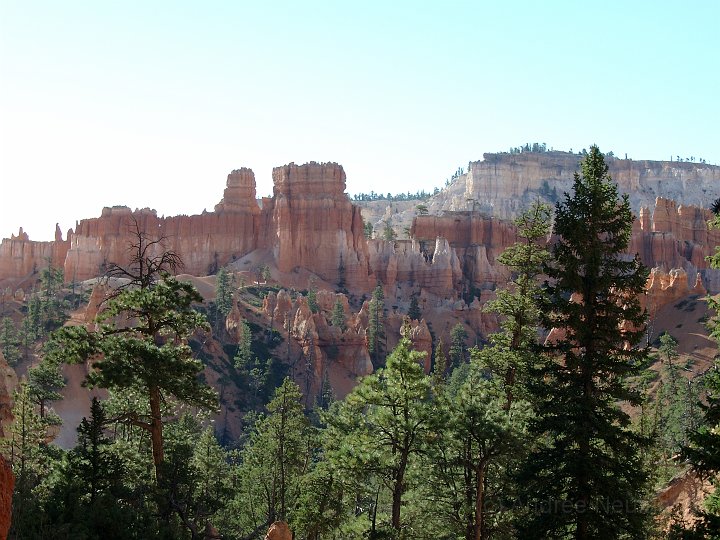Bryce Canyon NP -_11