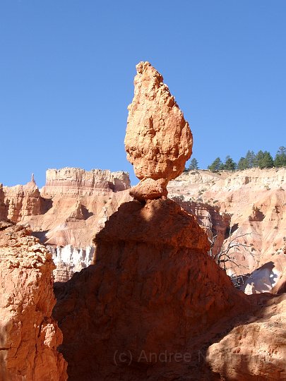 Bryce Canyon NP -_15