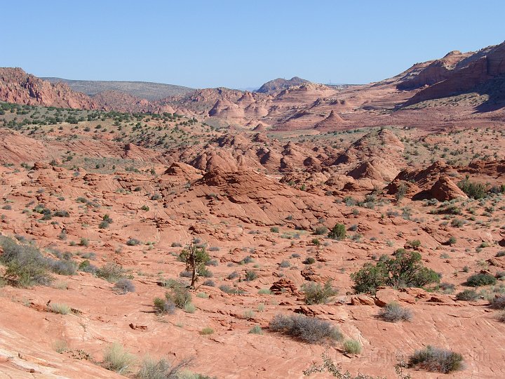 Blick in de Coyote Buttes