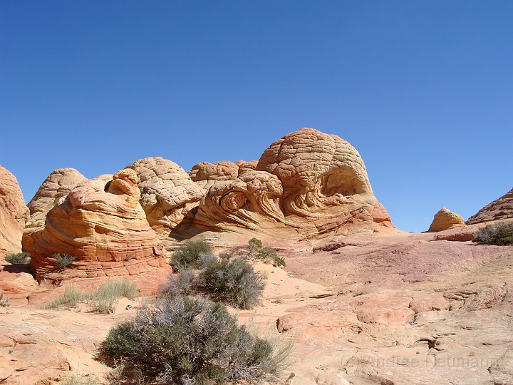 Wirbel im Felsen bei der Wave