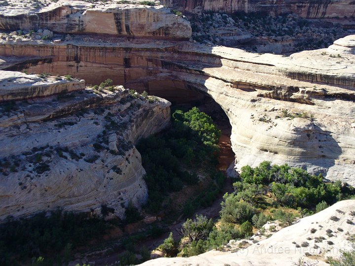 Natural Bridges_5