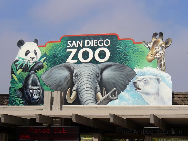 San Diego Zoo_21