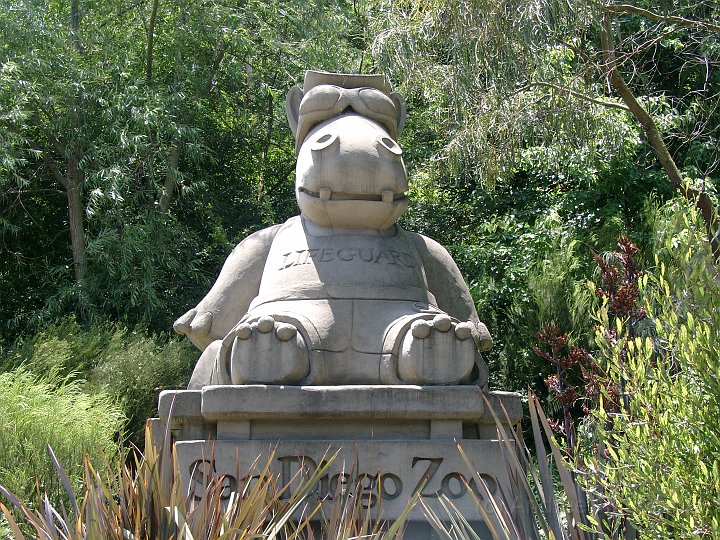 San Diego Zoo_10