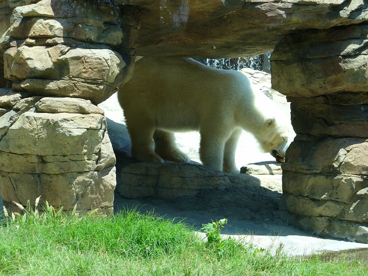San Diego Zoo_25