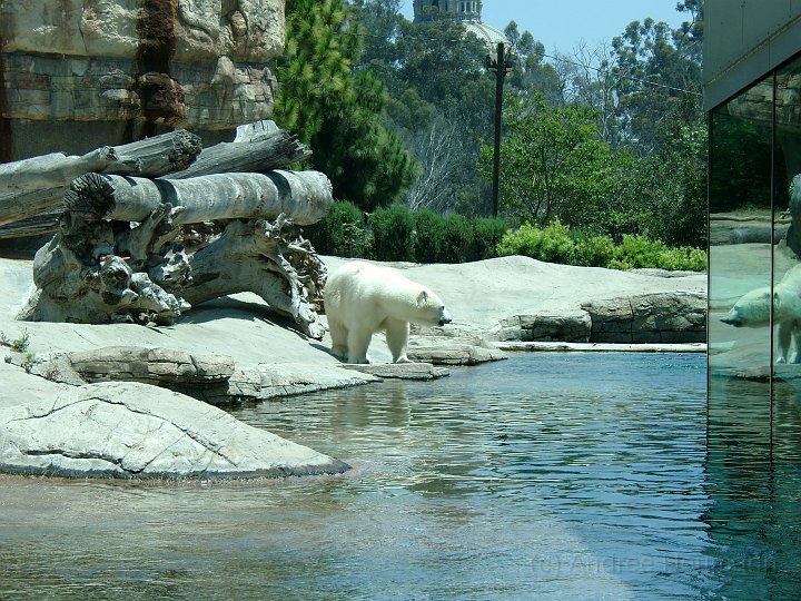 San Diego Zoo_12